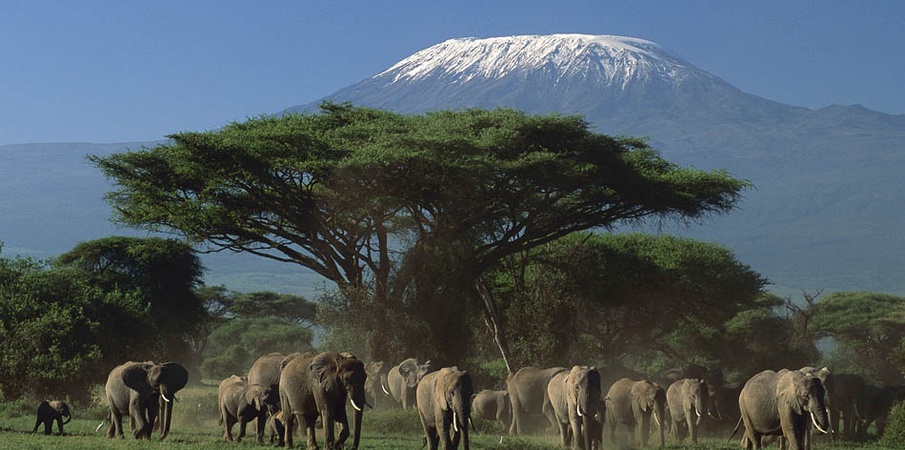 KENYA-TANZANIA: Amboseli e i Parchi del Nord della Tanzania